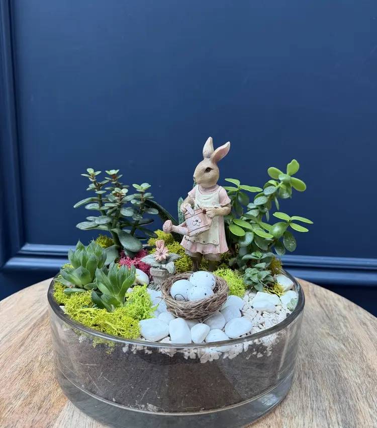 Easter composition succulents 