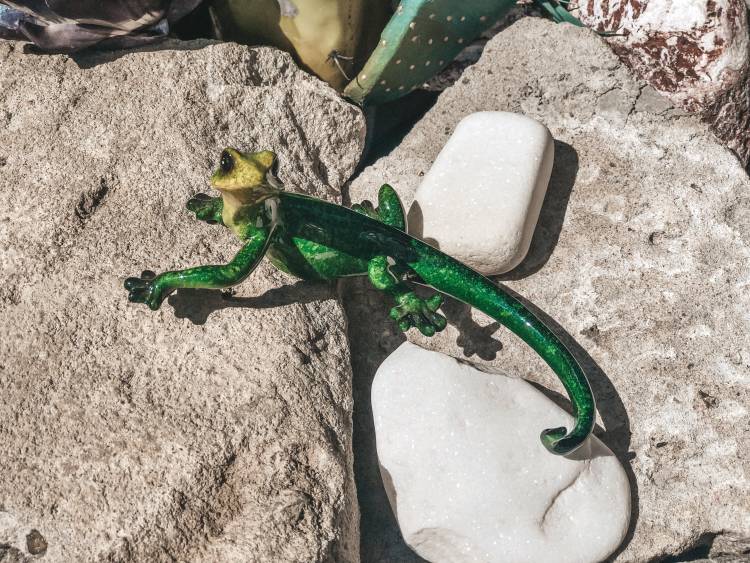 Statuette Lizard Charly green 18 cm