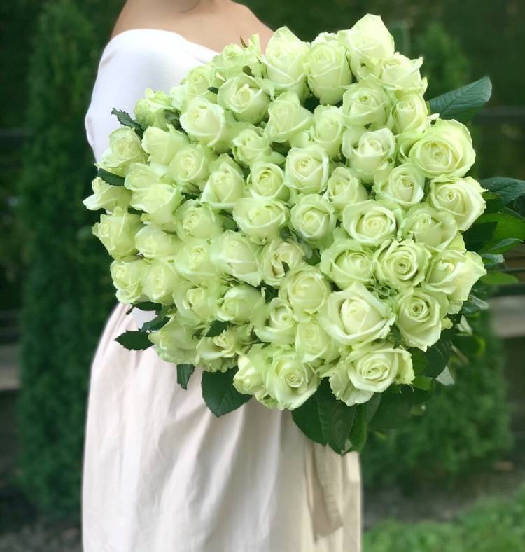 Bouquet of 51 Premium White Roses 80 cm