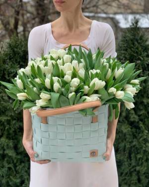 Tulips in the Bag 