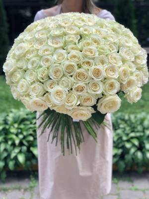 BOUQUET OF 200 White Roses  