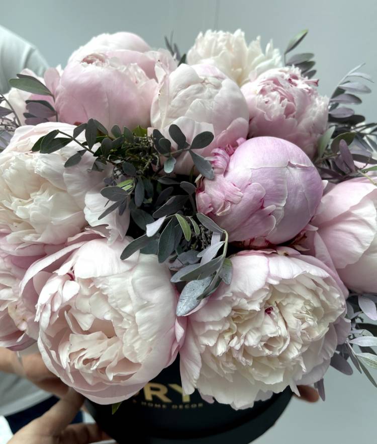 21 Pink peonies in a box 