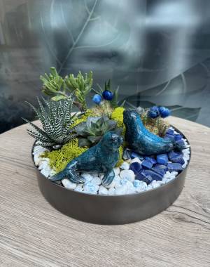 Composition of succulents №10 - flowers delivery Dubai