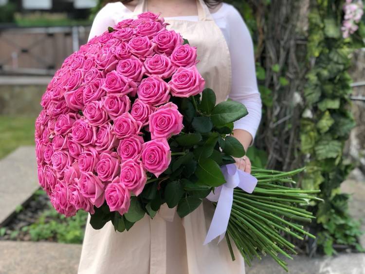 bouquet of 101 pink roses