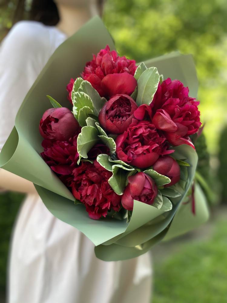 Bouquet of 9 burgundy peonies