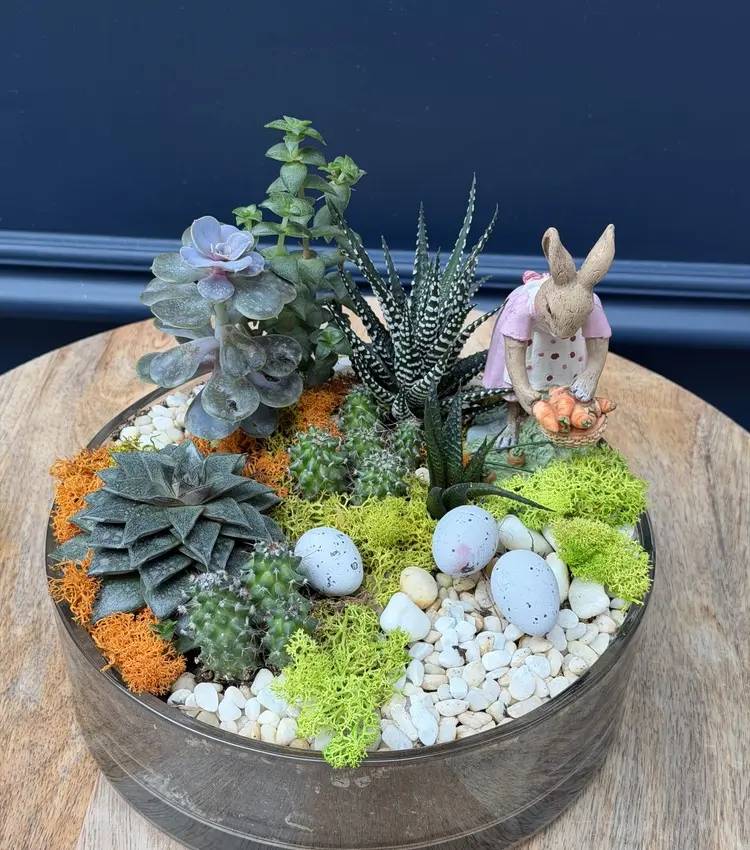 Easter composition succulents 