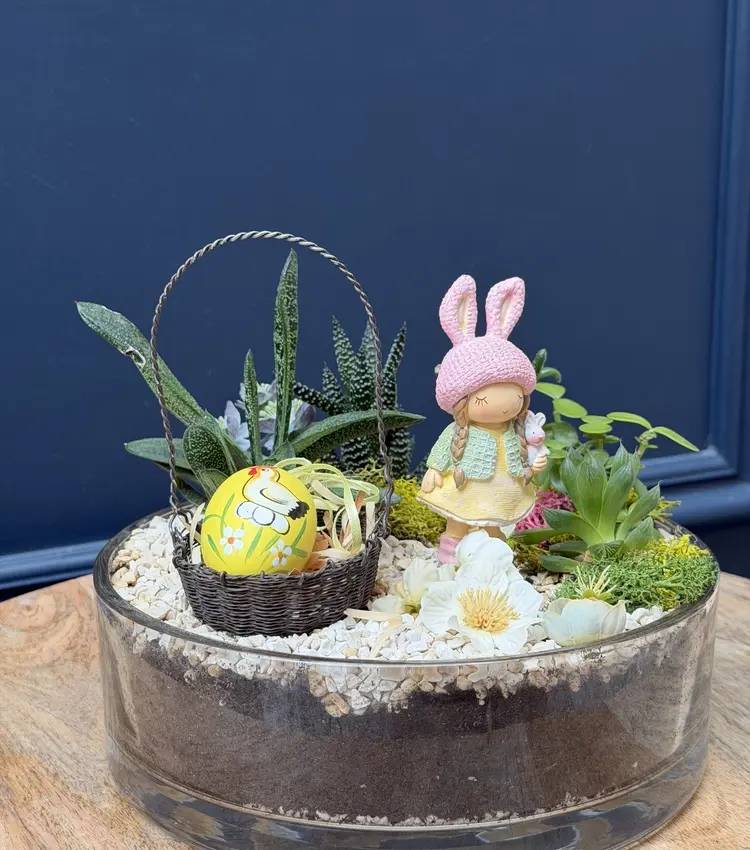 Easter composition succulents 