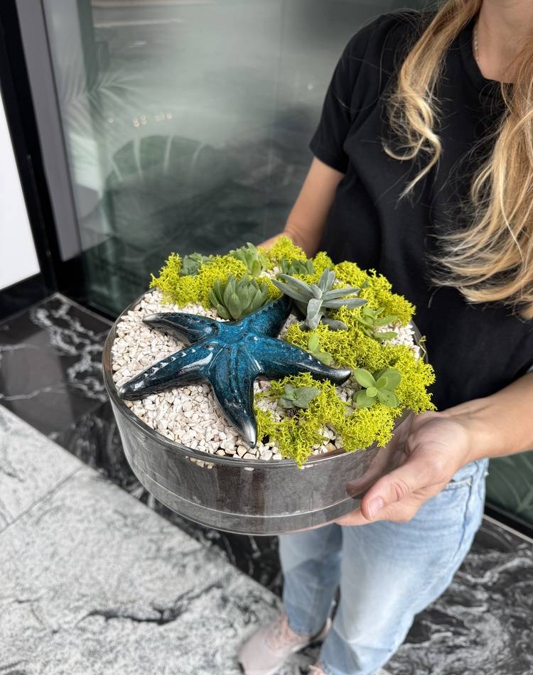 Composition of succulents №23