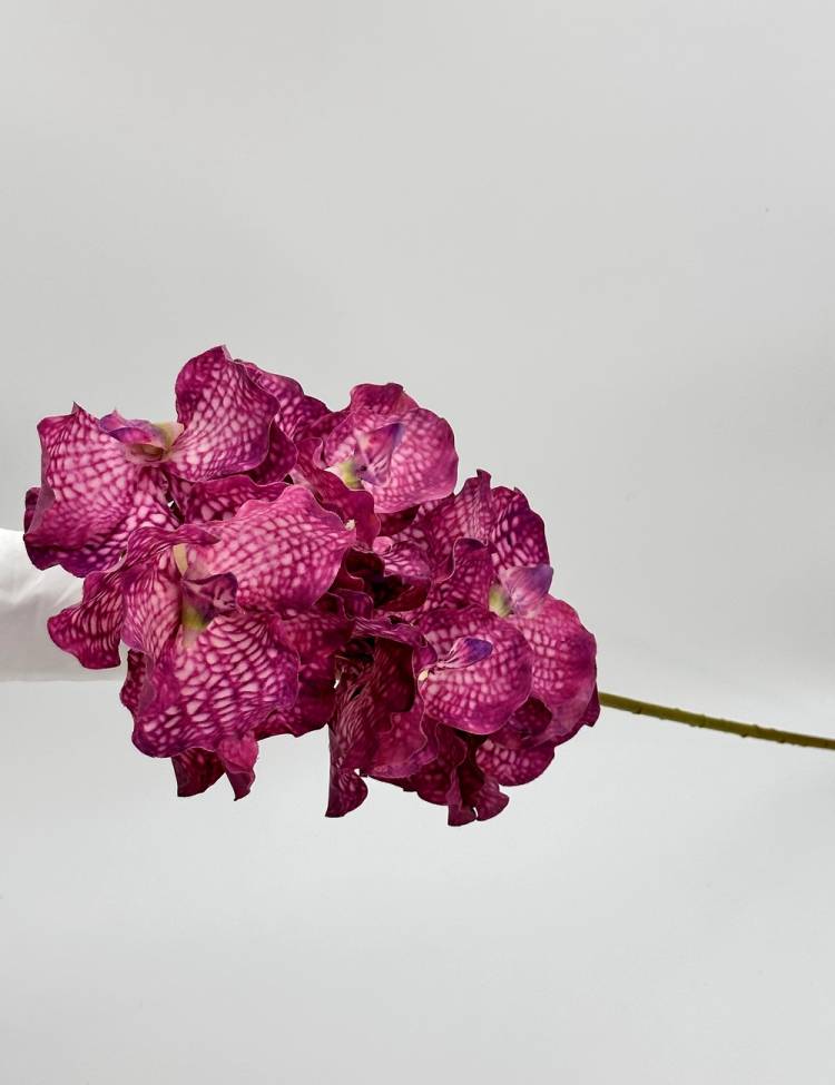 Branch Orchid spray purple, 79 cm