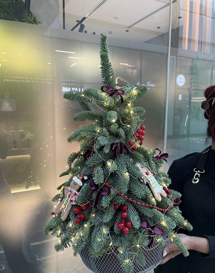 FRESH Christmas tree "Ginger mood"