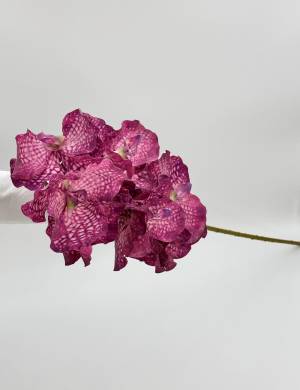 Branch Orchid spray purple, 79 cm - flowers delivery Dubai