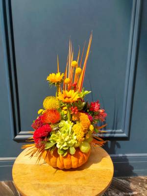 Halloween composition 