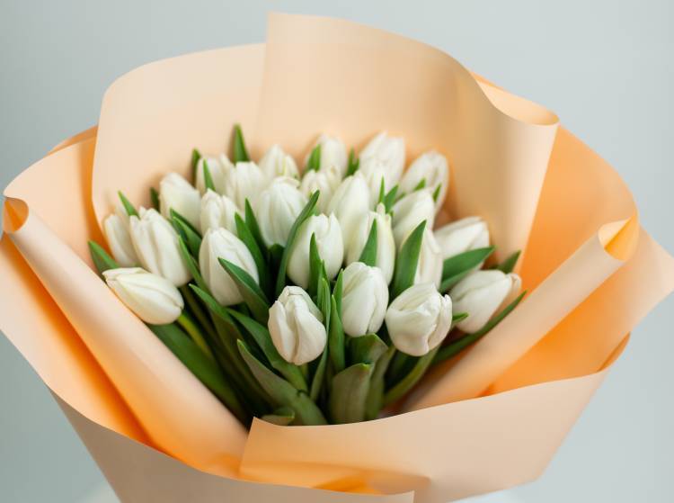 Bouquet of 25 White Tulips