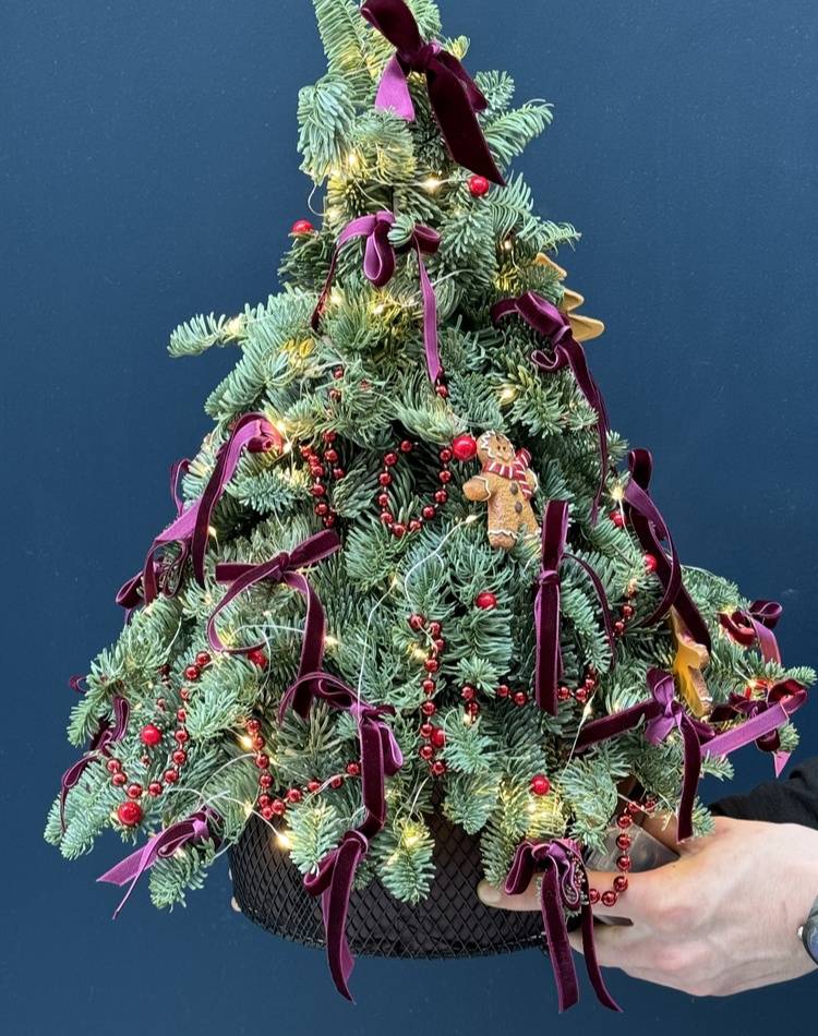 Fresh Christmas tree 