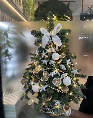 FRESH Christmas tree 