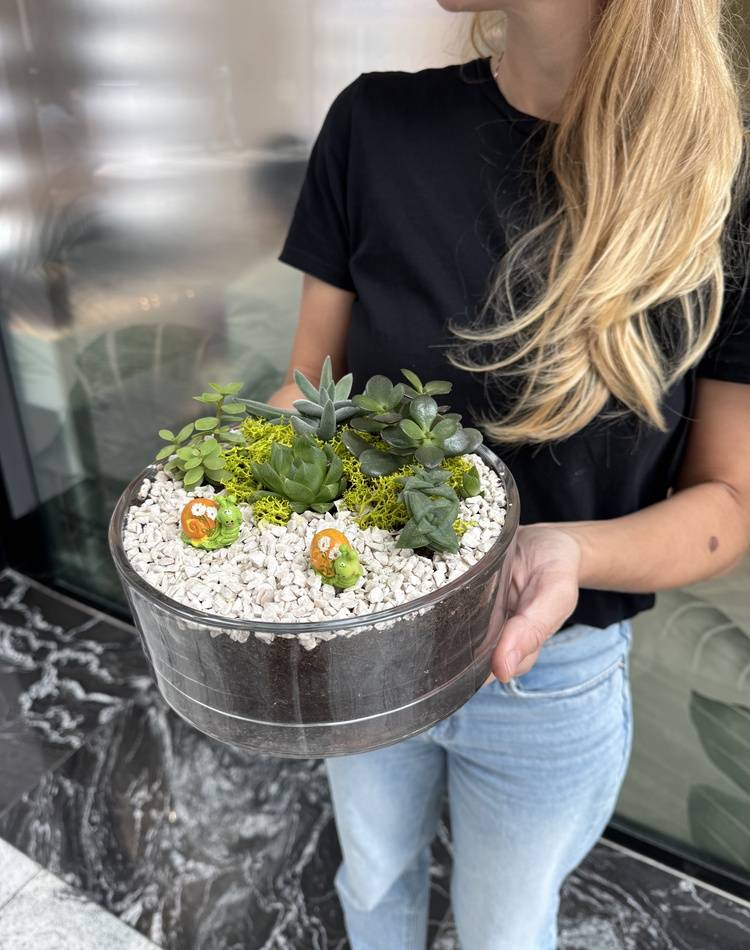 Composition of succulents №20