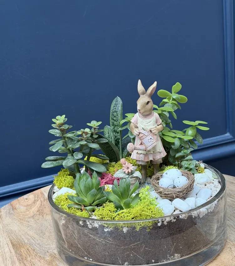 Easter composition succulents 