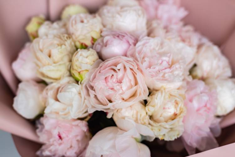 Bouquet of 25 white peonies