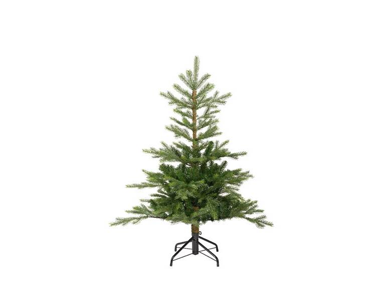 Spruce "Fir Grandis", 360 cm