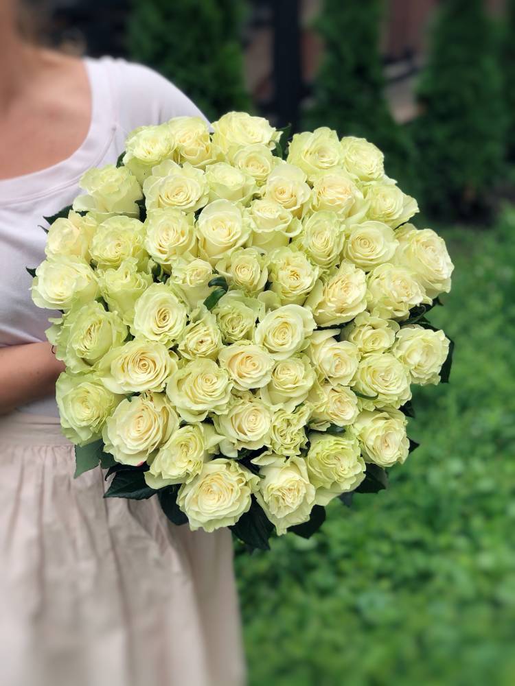 Bouquet of 51 imported white roses (80 cm)