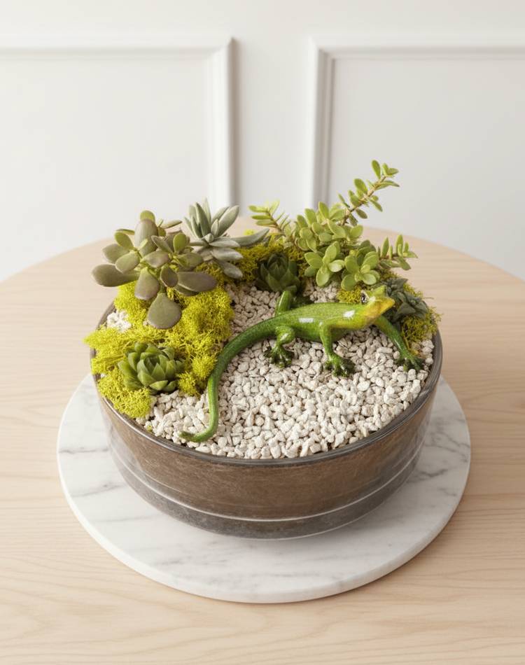 Composition of succulents №22