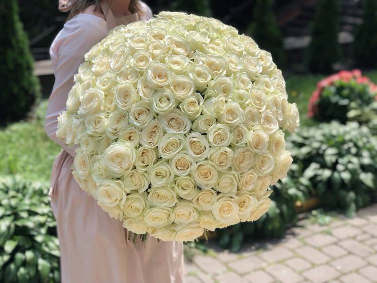 BOUQUET OF 200 White Roses  