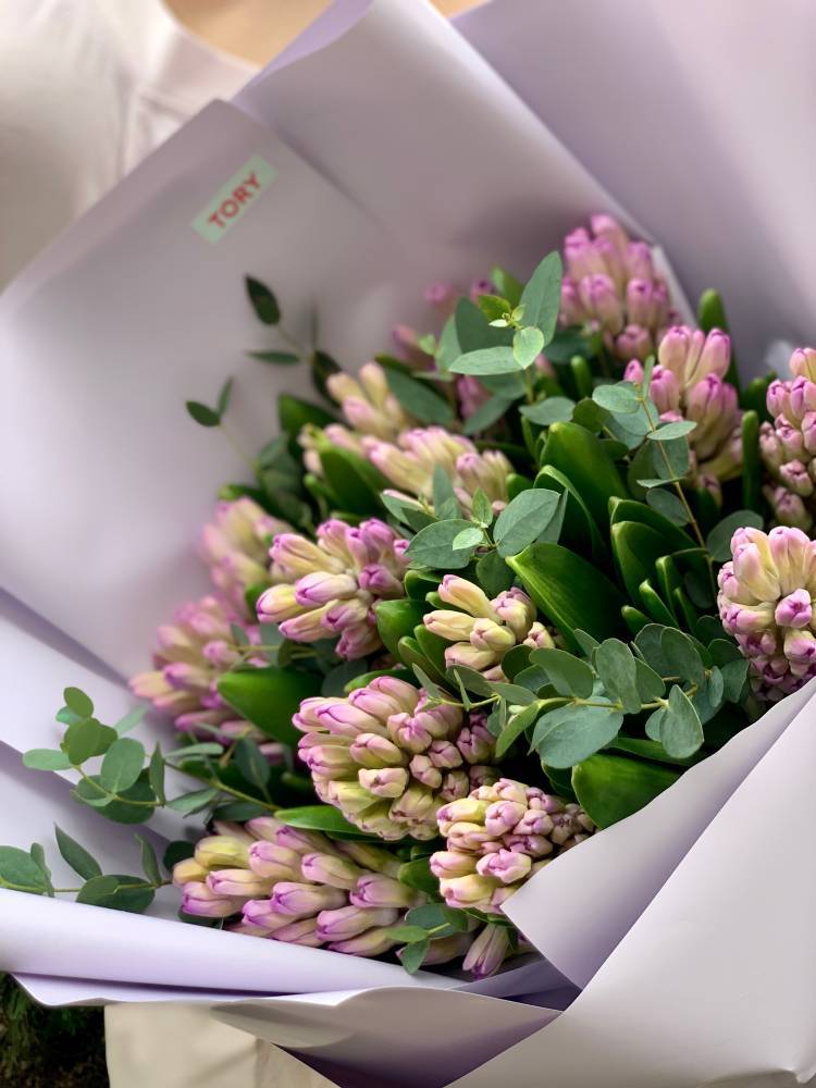 Bouquet of 11 purple hyacinths