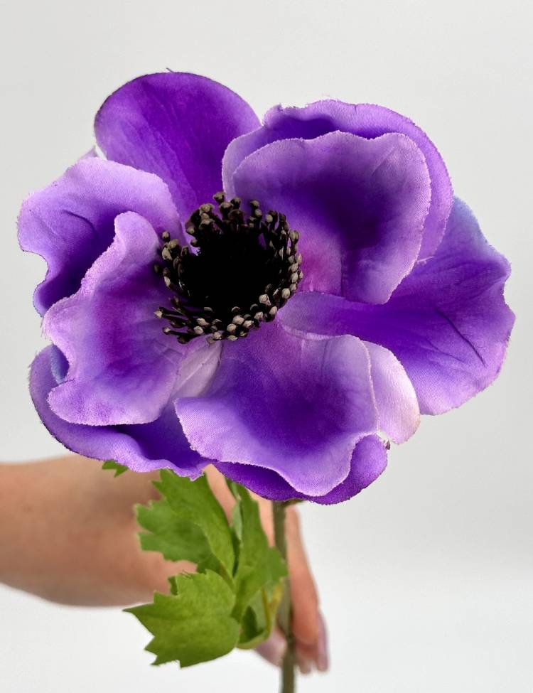 Branch Anemone purple, 60 cm