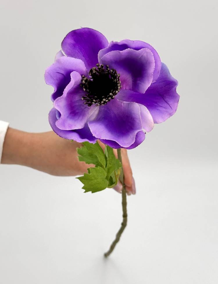 Branch Anemone purple, 60 cm