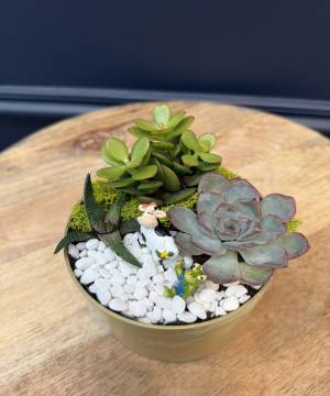 Composition of succulents No. 44 - flowers delivery Dubai