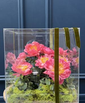 gift box of peonies 