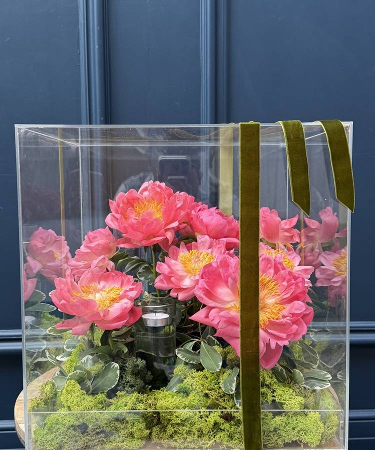 gift box of peonies "Le Prestige"