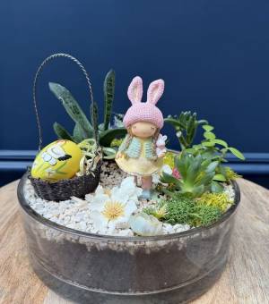 Easter composition succulents 