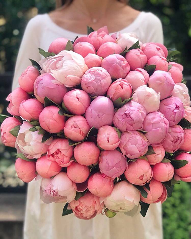 Bouquet of pink peonies "refinement"