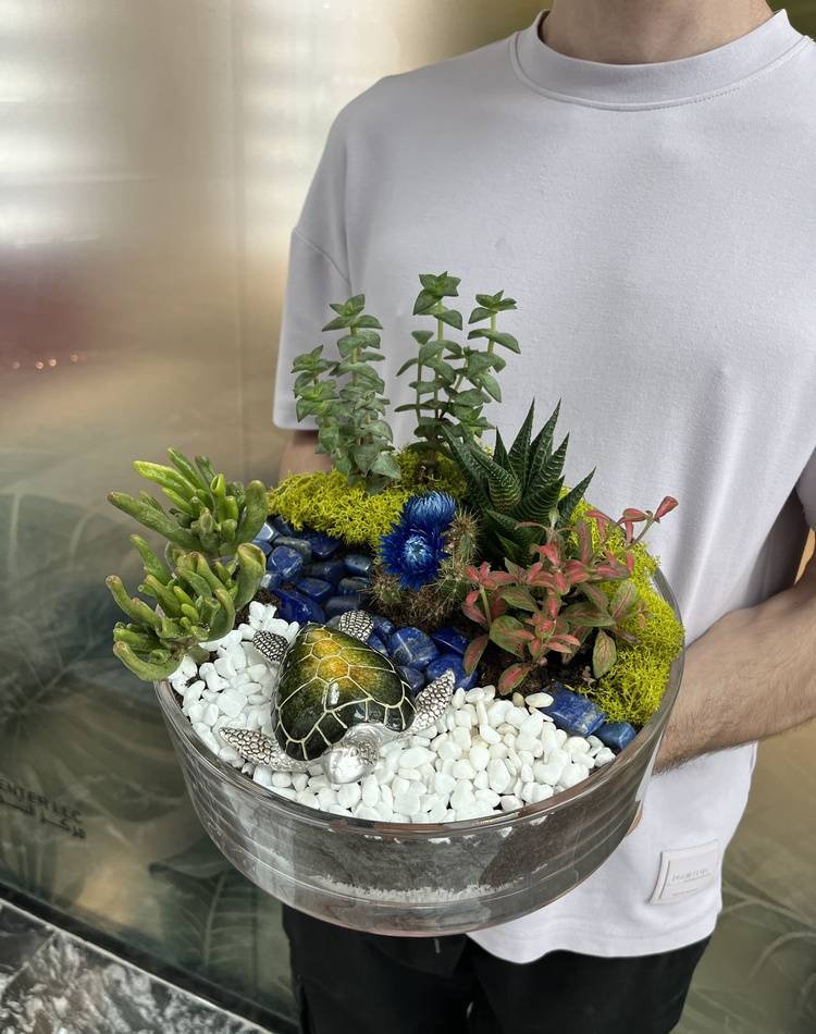 Composition of succulents №7