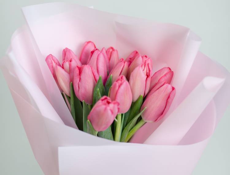 Bouquet of 15 Pink Tulips