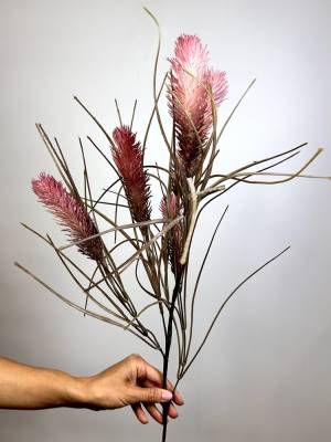 Reed, artificial - flowers delivery Dubai