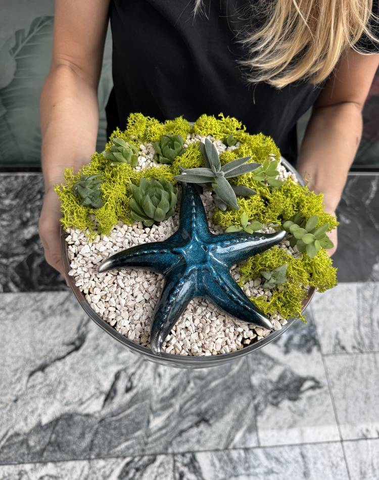 Composition of succulents №23