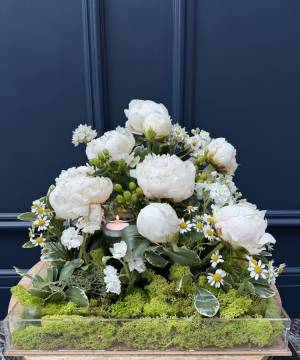 gift box of peonies 