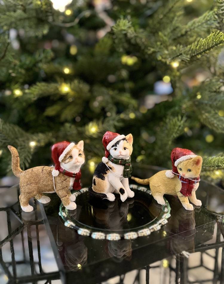 Cats w.x-mas hat poly in assortment