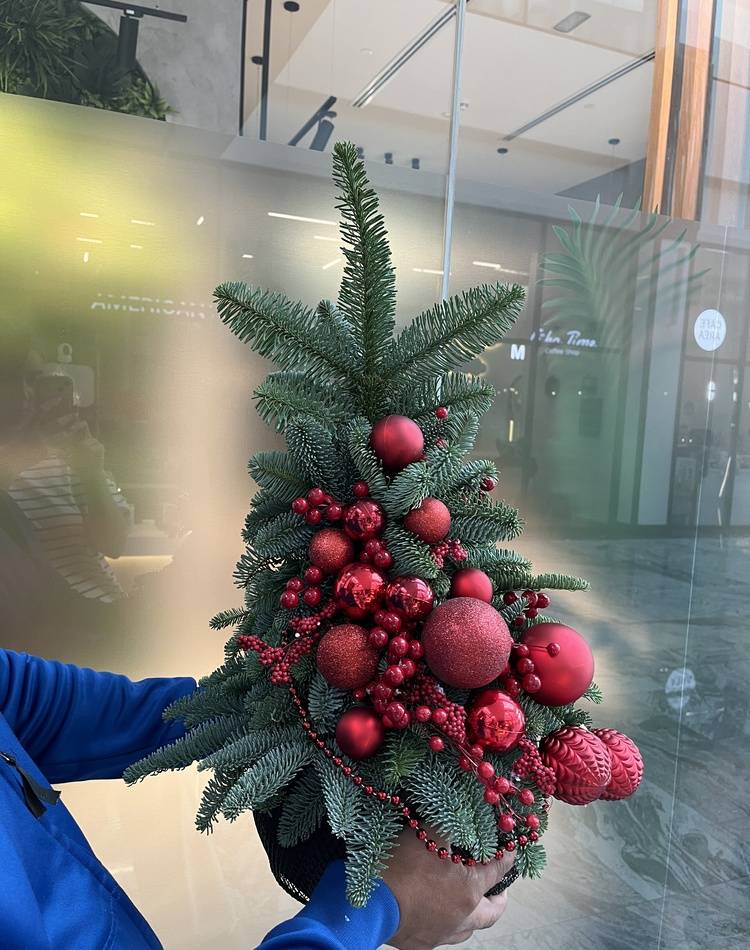 FRESH Christmas tree "Red glow"