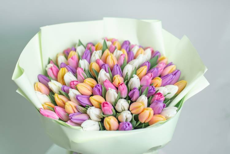 Bouquet of 101 Mixed Tulips