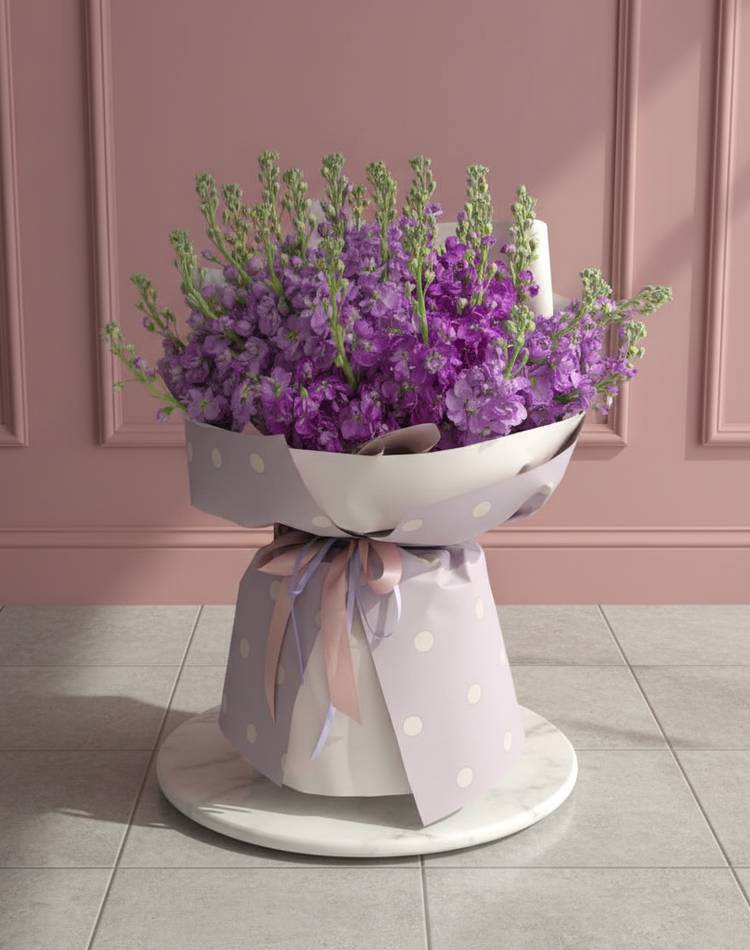 Bouquet of 35 purple matthiola
