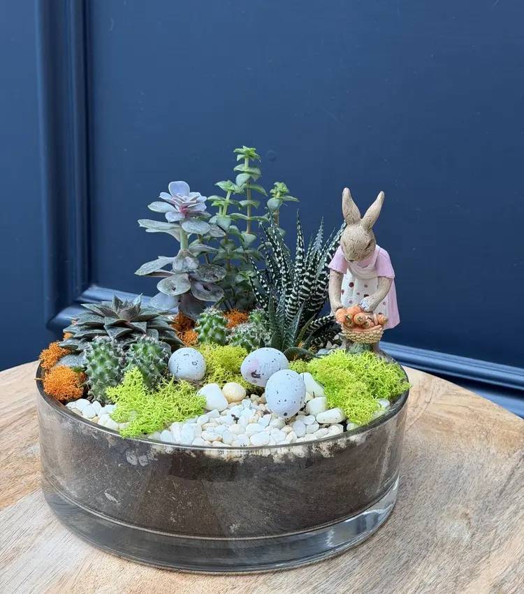 Easter composition succulents 