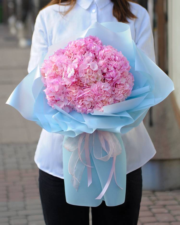 Bouquet of 7 pink hydrangeas