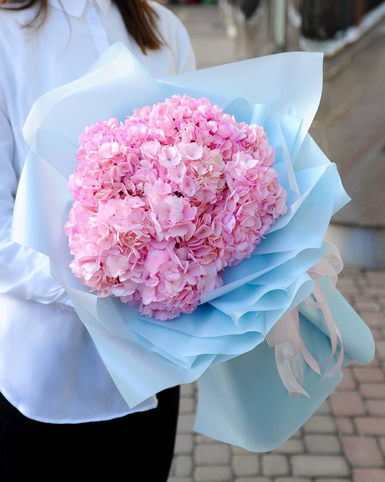 Bouquet of 7 pink hydrangeas