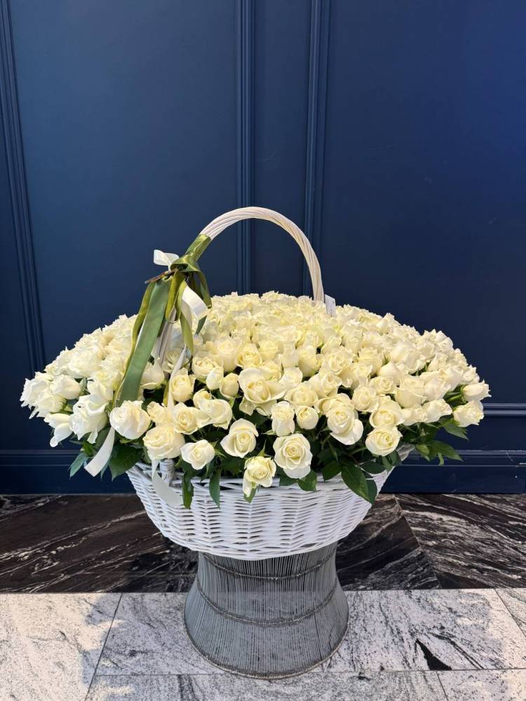 301 white roses in a basket
