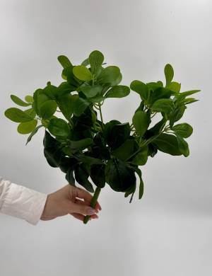 Pittosporum green, artificial - flowers delivery Dubai