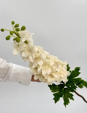 Delphinium 80 cm Latex 896 white - flowers delivery Dubai