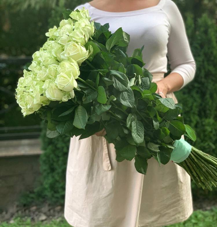 50 Premium White Roses 80 cm